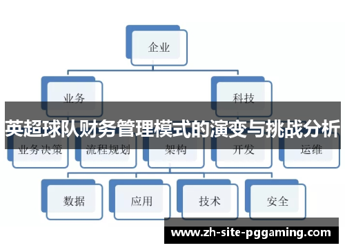 英超球队财务管理模式的演变与挑战分析 英超球队财务管理模式的演变与挑战分析