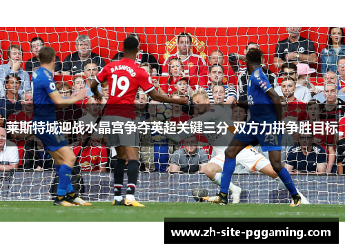 莱斯特城迎战水晶宫争夺英超关键三分 双方力拼争胜目标 莱斯特城迎战水晶宫争夺英超关键三分 双方力拼争胜目标