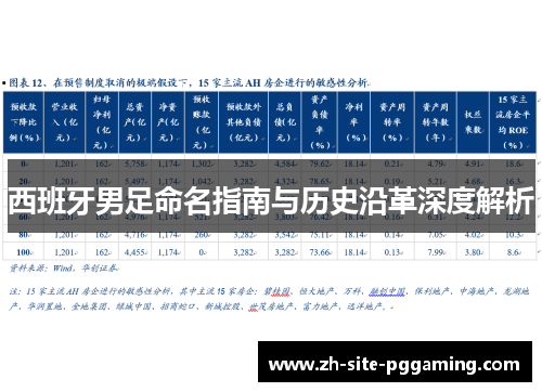 西班牙男足命名指南与历史沿革深度解析 西班牙男足命名指南与历史沿革深度解析