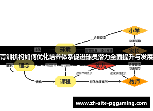 青训机构如何优化培养体系促进球员潜力全面提升与发展