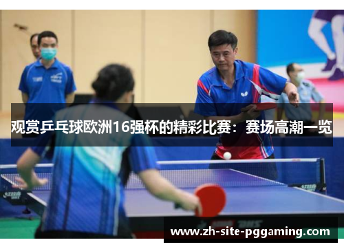 观赏乒乓球欧洲16强杯的精彩比赛：赛场高潮一览