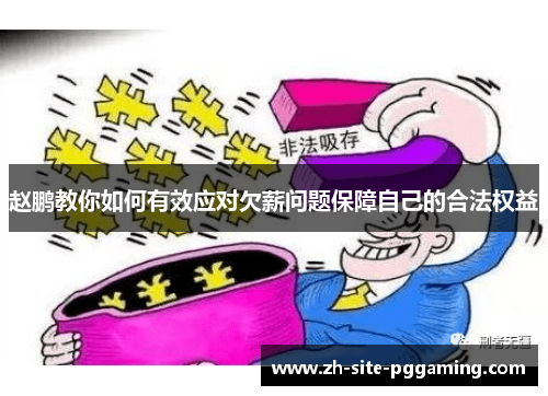 赵鹏教你如何有效应对欠薪问题保障自己的合法权益